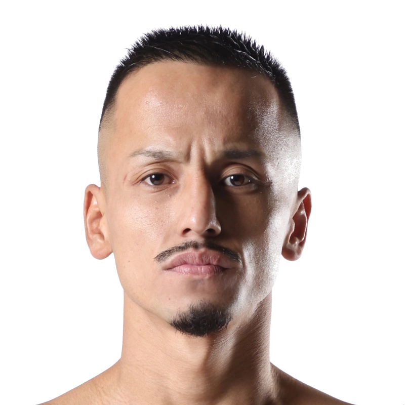 Miyazaki Hayaki